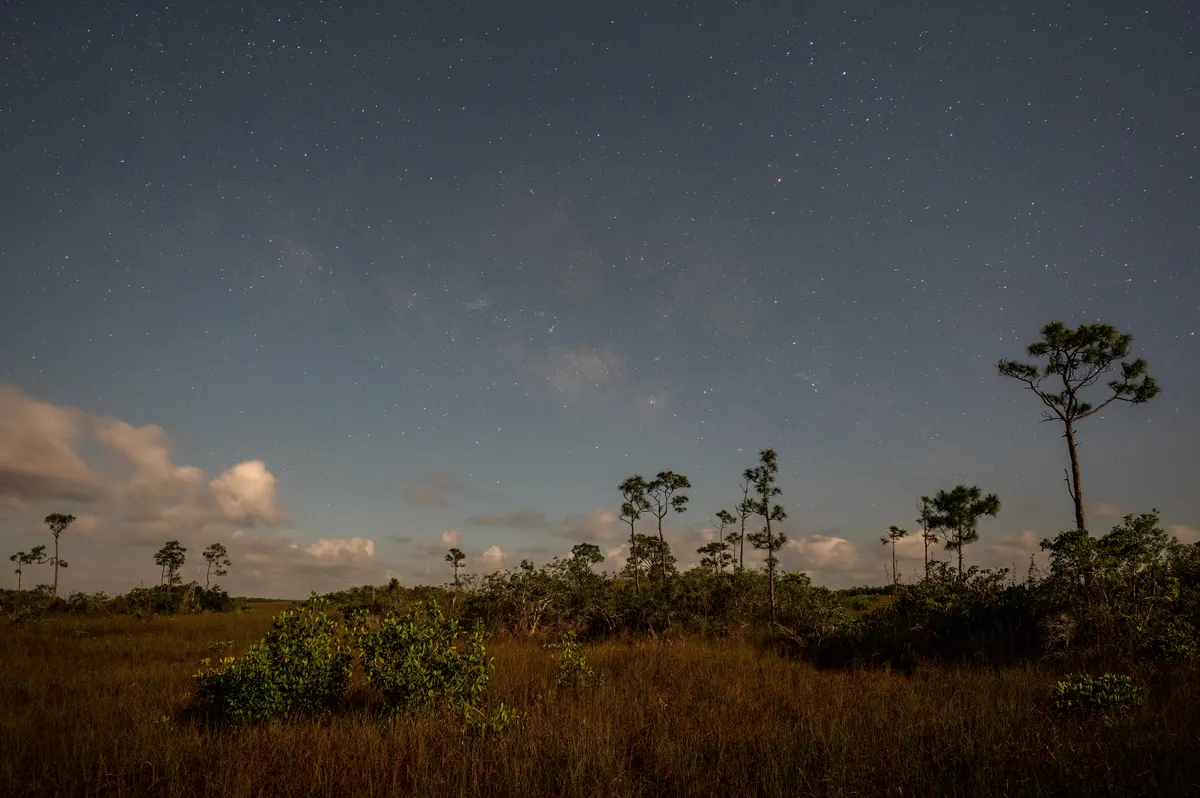 The Milky Way above Everglades National Park