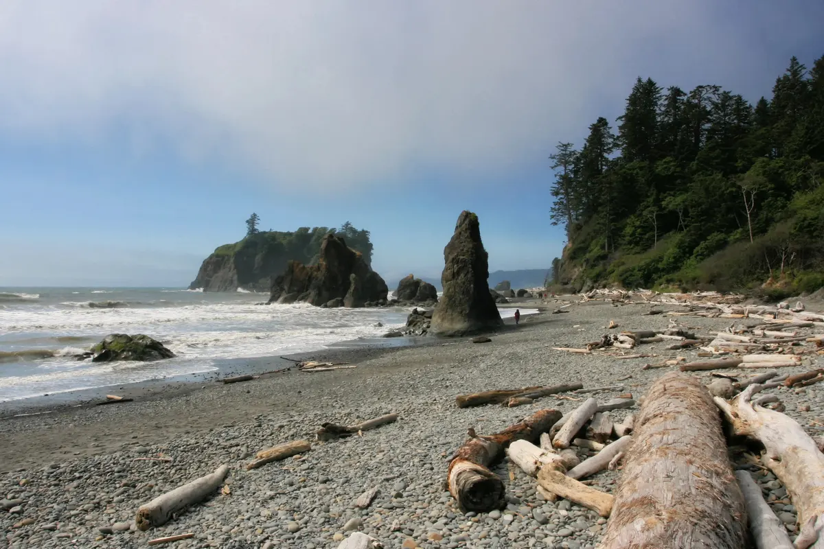 A view in Olympic National Park
