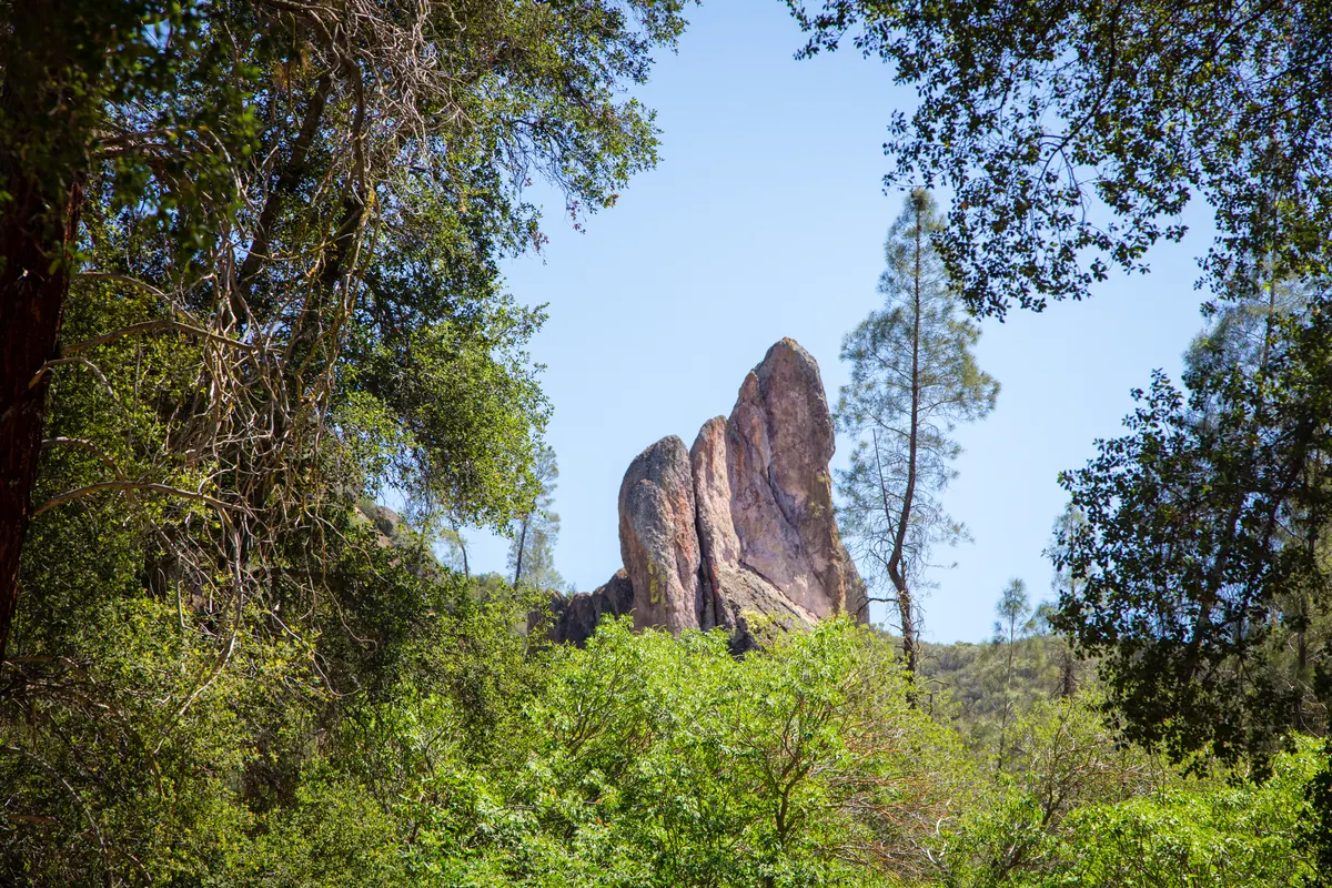 A view in Pinnacles National Park