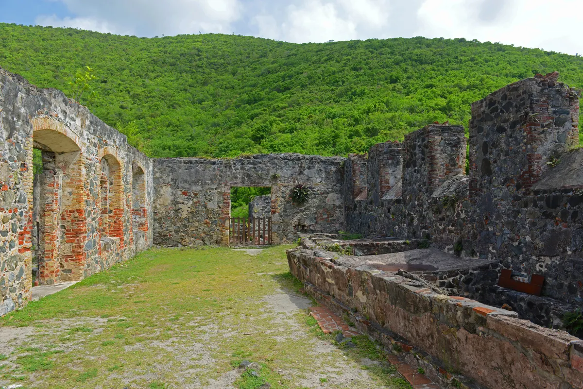 A view in Virgin Islands National Park