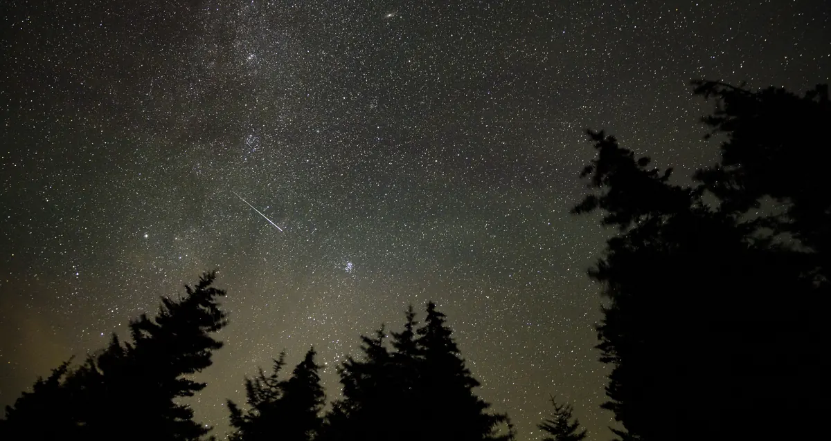 A faint meteor trail among the stars above silhouetted spruce trees